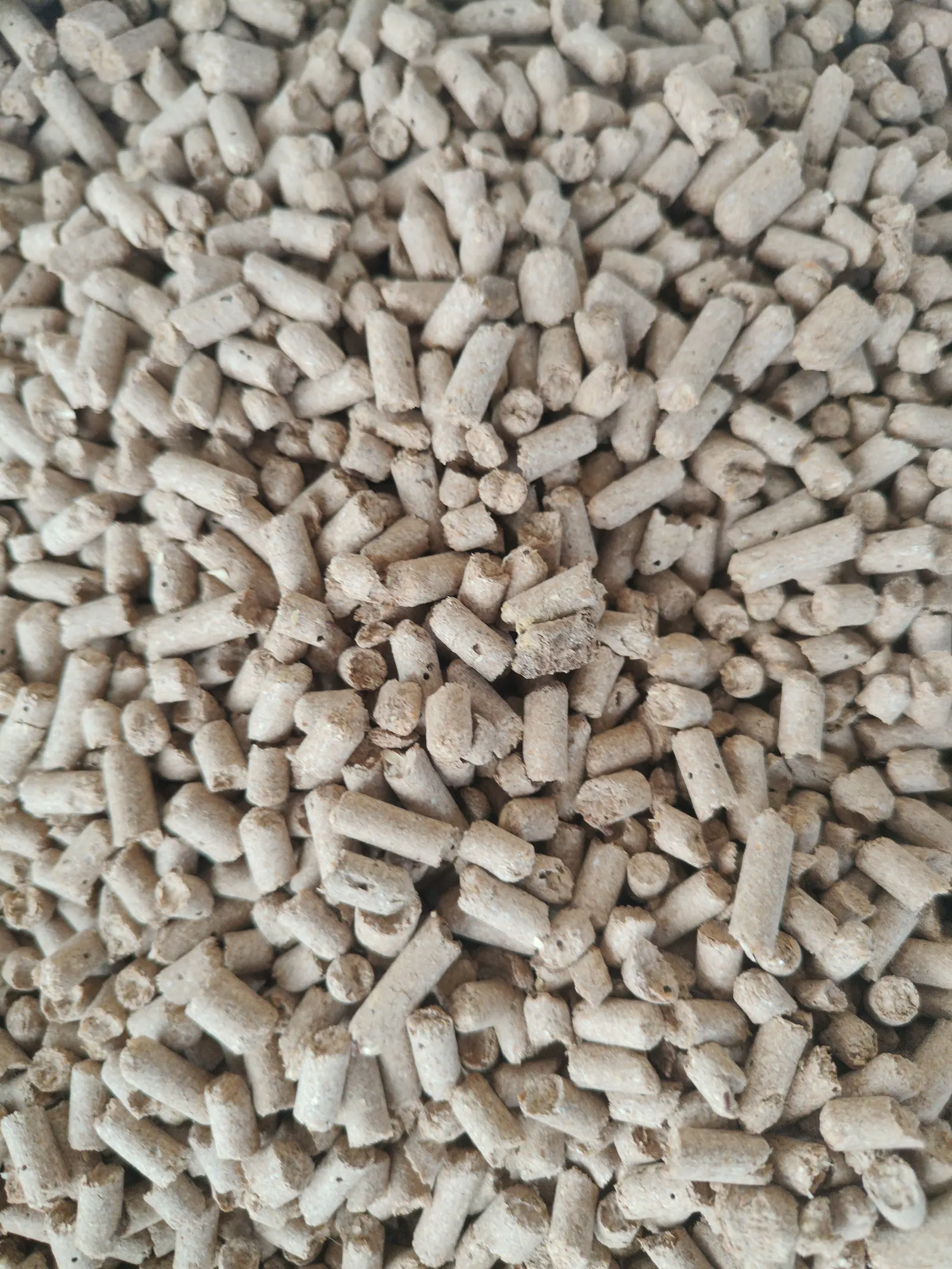 Pellet drzewny ENplus A1 o średnicy 6 mm z bliska