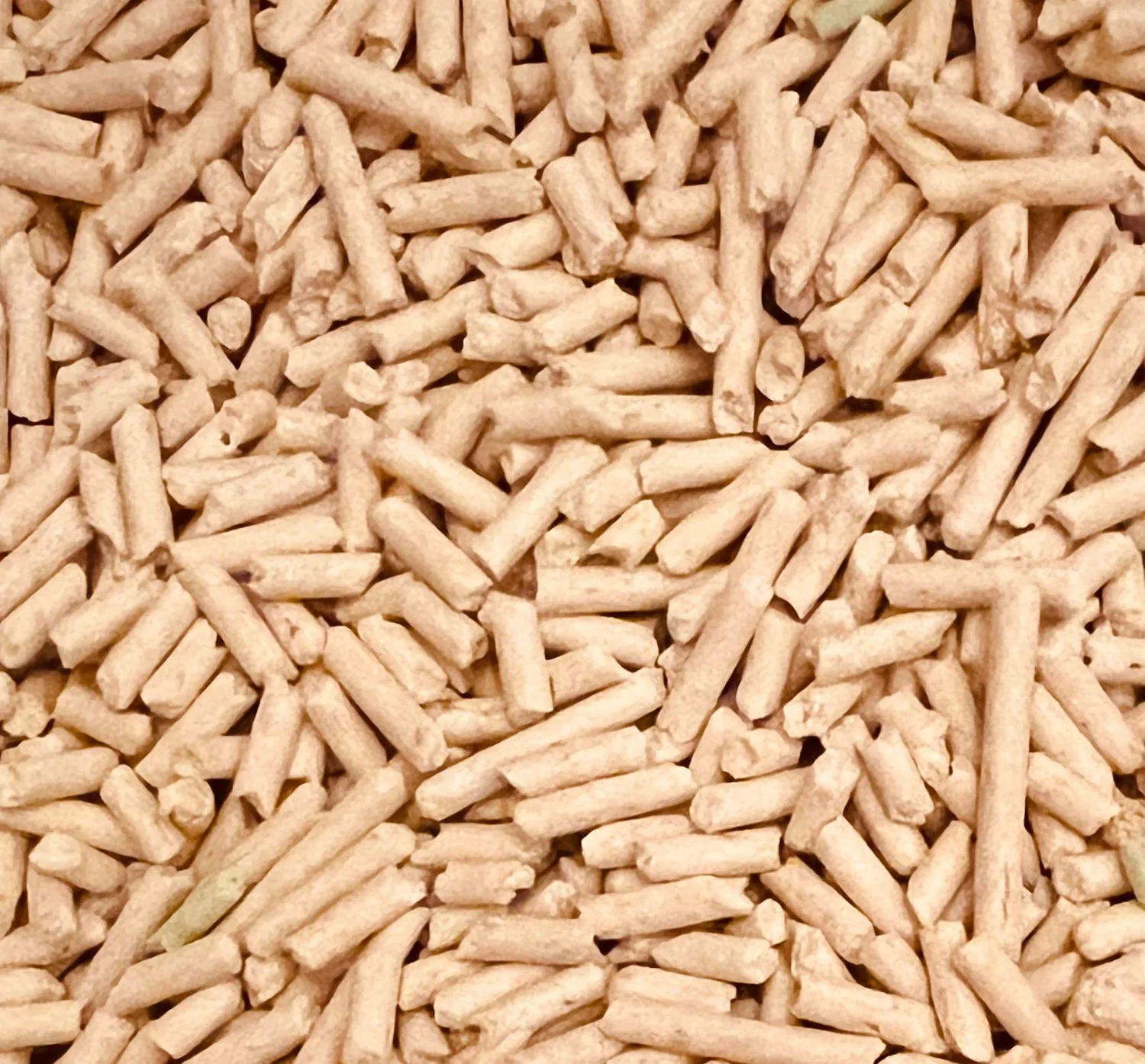 Gotowy pellet drzewny po prasowaniu